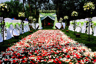 春暖花开 春季折扣